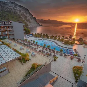 book here